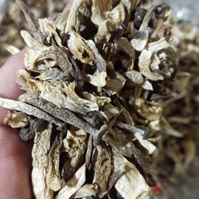 陜西商洛香菇與家用電器銷售 創新融合的多元化經營新趨勢